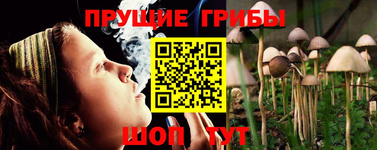 Галлюциногенные грибы Psilocybe  хочу   Одинцово  Вход с VPN 